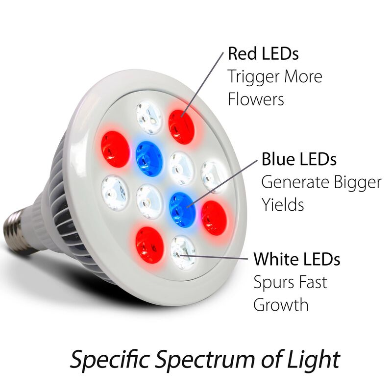 AeroGarden 12 Watt LED Grow Light image number null